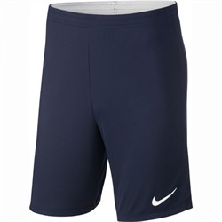 Шорты тренировочные Nike Dry Academy18 Short 893691-451 - фото 10300