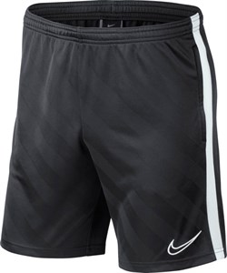 Шорты футбольные Nike ACDMY19 BQ5810-060 BQ5810-060 - фото 11610