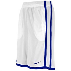 Шорты баскетбольные Nike HUSTLE SHORT 382858-102 - фото 11635