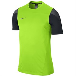Футболка Nike SS SQUAD14 TRNG TOP  588462-302 588462-302 - фото 8016