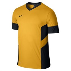 Футболка Nike SS ACADEMY14 TRNG TOP  588468-739 588468-739 - фото 8026