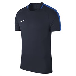 Футболка Nike Dry Academy18 Top SS 893693-451 893693-451 - фото 9912