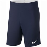 Шорты тренировочные Nike Dry Academy18 Short 893691-451