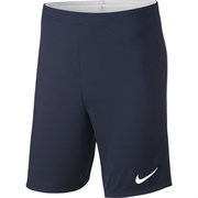 Шорты тренировочные Nike Dry Academy18 Short JR 893748-451