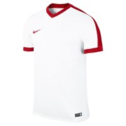 Майка футбольная Nike STRIKER IV 725892-101