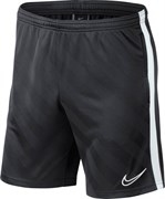 Шорты футбольные Nike ACDMY19 BQ5810-060 BQ5810-060