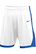 Шорты баскетбольные Nike Basketball Elite Shorts AV2251-108