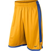 Шорты баскетбольные Nike TEAM POST UP SHORT 521136-739