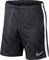 Шорты футбольные Nike ACDMY19 BQ5810-060 BQ5810-060 - фото 11610