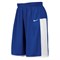 Шорты баскетбольные Nike TEAM ENFERNO SHORT 553391-494 - фото 7984