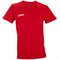 Футболка Asics CONF. 3 T/S PROMOZIONALI (set 3 pcs) T207Z9-0026 T207Z9-0026 - фото 8906