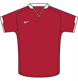 Майка футбольная Nike Herren Sport Trikot DriFit Brasil Touch 269386-648 - фото 10094