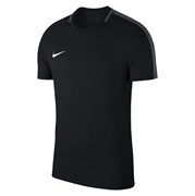 Футболка Nike Dry Academy18 Top SS 893693-010