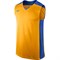 Майка баскетбольная Nike POST UP SLEEVELESS 521134-739 521134-739 - фото 7936