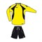 компл вратарский (свитер+шорты) Asics SET MONDIALE T332Z9-QV90 T332Z9-QV90 - фото 8800